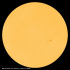 SDO/HMI Continuum Image of the Sun